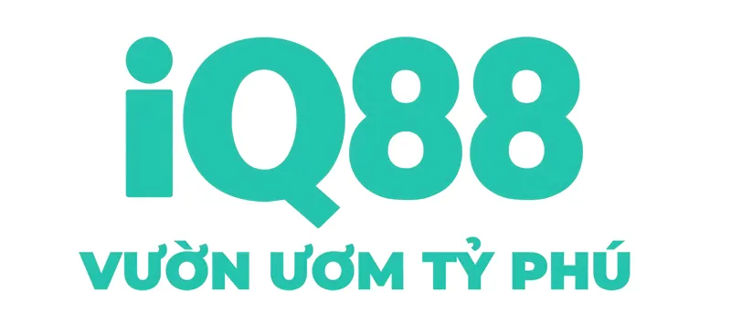 iq88co