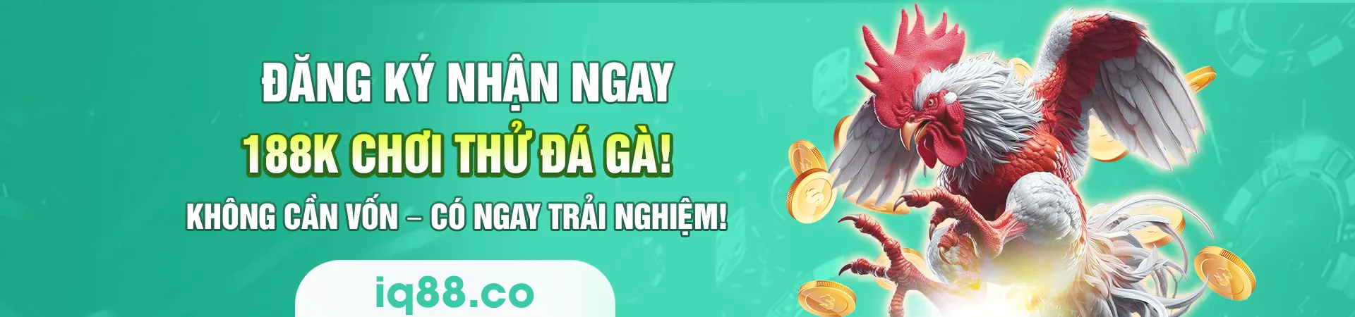 banner1-iq88