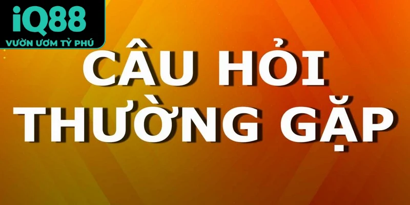 câu hỏi thường gặp