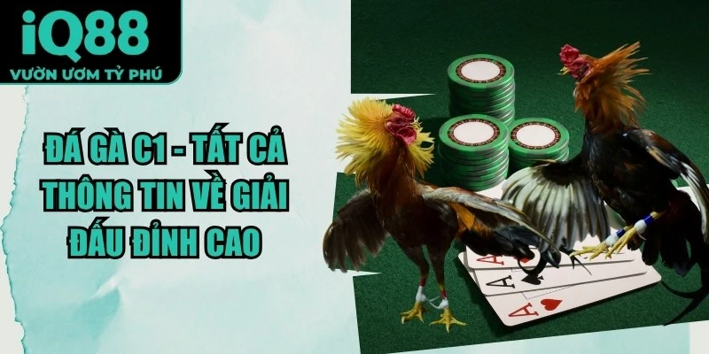 Đá Gà C1