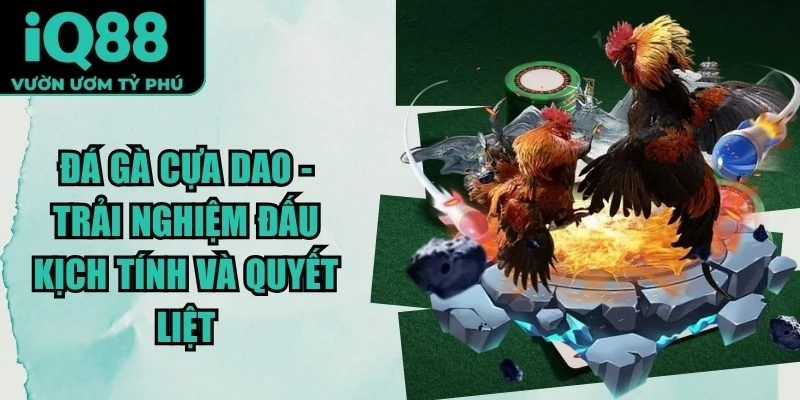 Đá Gà Cựa Dao