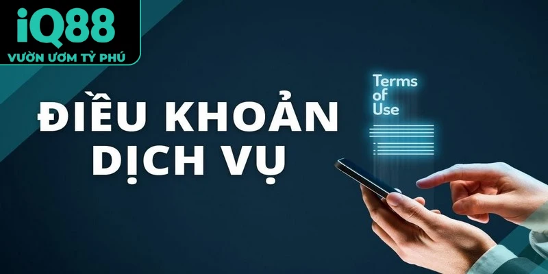 điều khoản dịch vụ