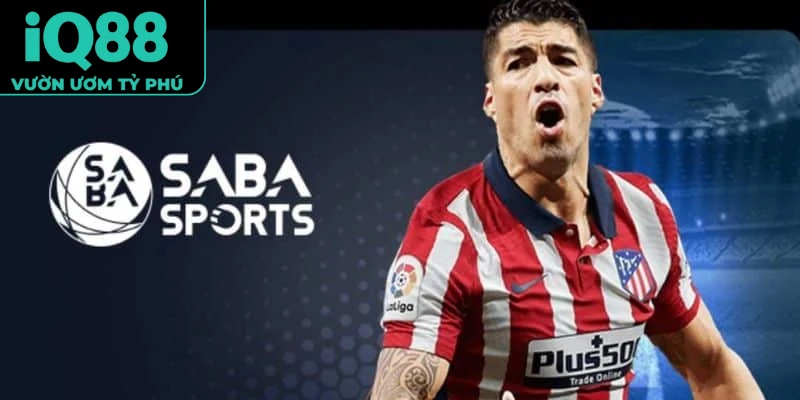 Saba Sports iQ88