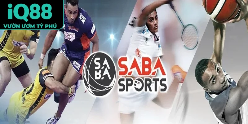 Saba Sports iQ88