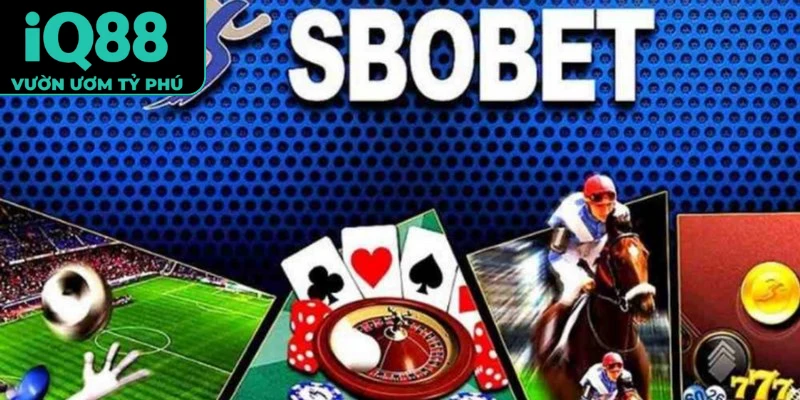 Sbobet iQ88