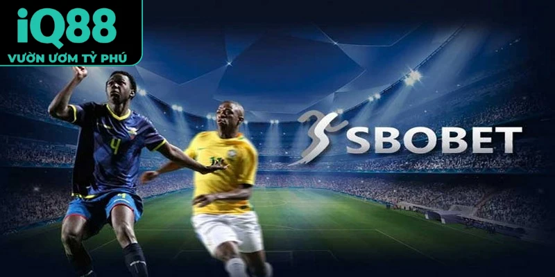 Sbobet iQ88
